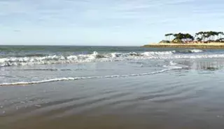 La plage des Pins de Cordouan