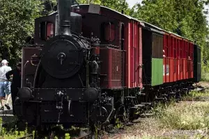 Le train des Mouettes