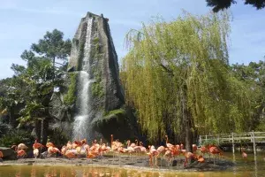 Le zoo de la Palmyre